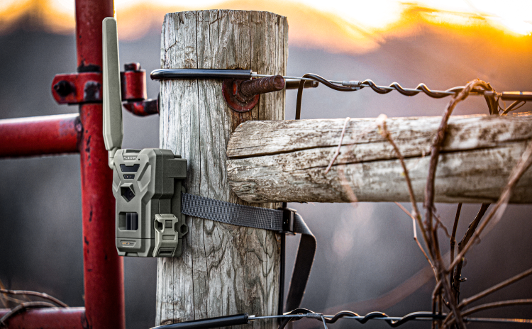 Spypoint Flex-M LTE Cellular Trail Camera