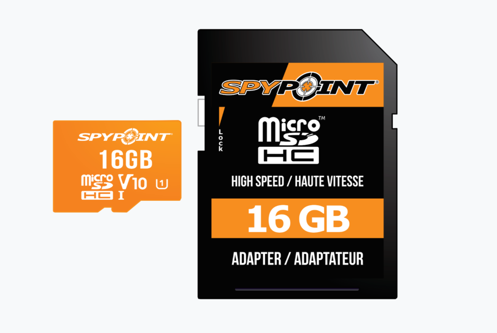 SpyPoint Micro SD 16GB Card – Peterborough Archery